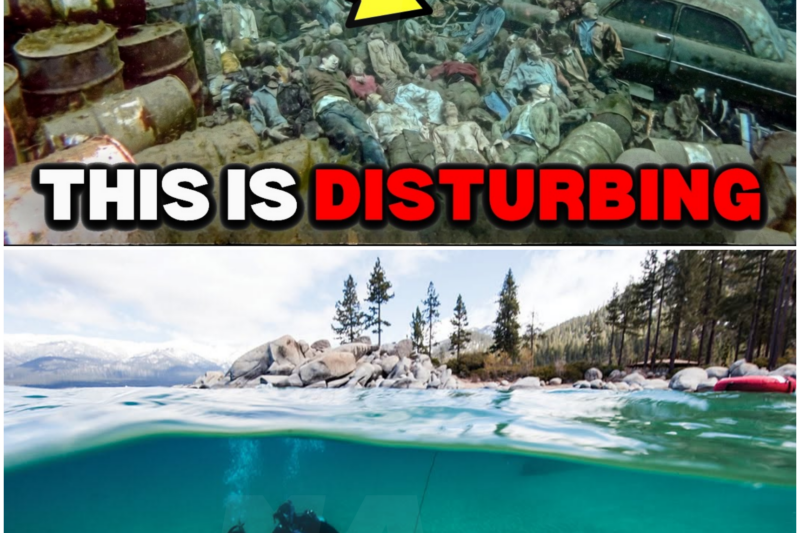 Scientists Sent Divers to the Bottom of Lake Tahoe — The Footage Changed Everything