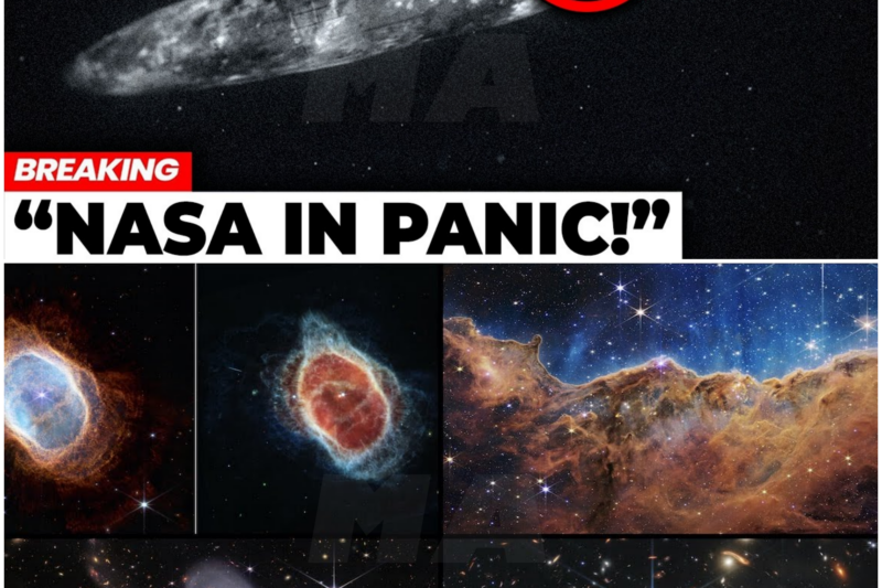 The Dawn of a New Era in Astronomy: The Impact of the Vera C. Rubin Observatory