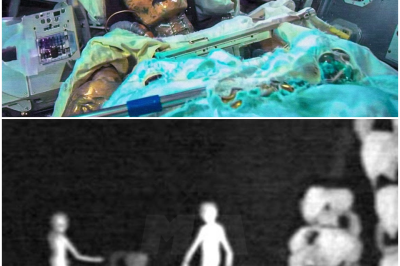 Mysterious Beings Not From Earth Caught on Camera: A Deep Dive