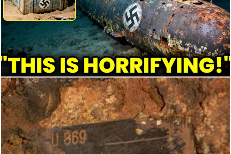 JUST NOW: Lost Nazi German Submarine Was Discovered – What They Found Inside Was Pure Horror