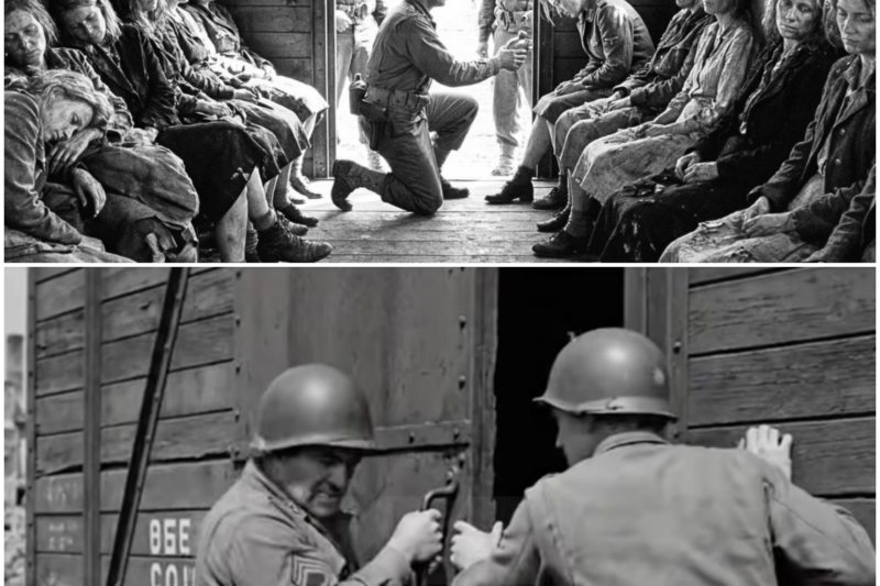 “Americans Found Them Half-Dead” — German Women POWs Were Locked in a Freight Car for 12 Days