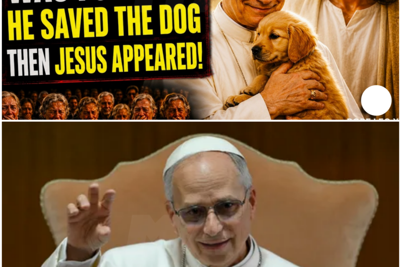 A Tale of Divine Justice: Pope Leo XIV’s Compassionate Stand