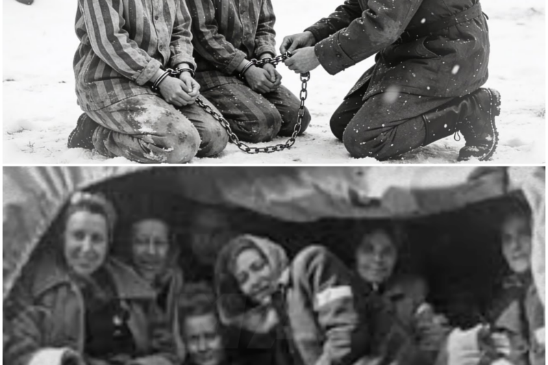 “You’re Not Animals”— German Women POW’s Shocked When Canadian Men Removed Their Chains