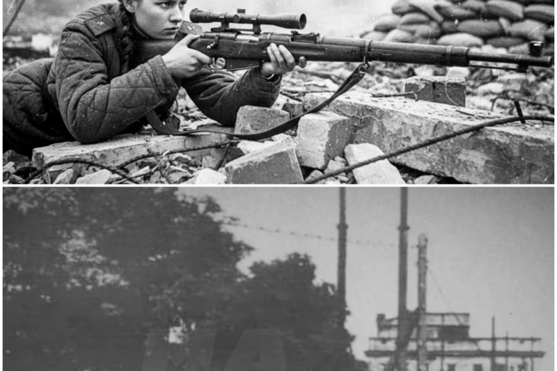 They Ignored Her “Stupid Female” Sniper Angle — Until She Hit a German Commander at 620 Yards