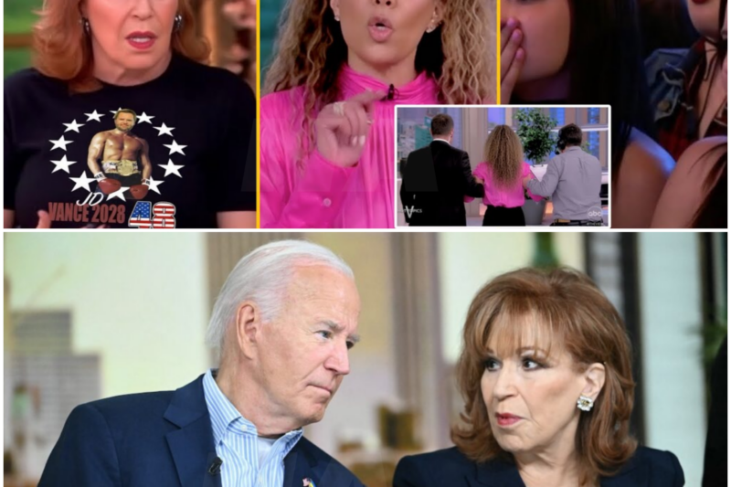 Heated Exchanges on ‘The View’: A Deep Dive into Political Discourse
