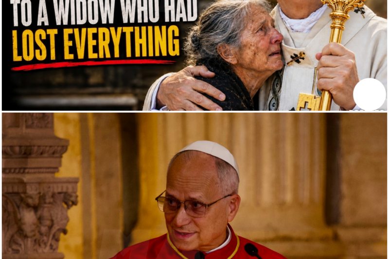 The Unseen Struggles: A Widow’s Journey Through Bureaucracy and Compassion