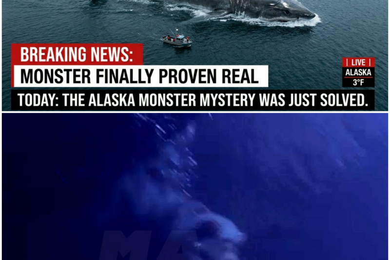 The Enigma of Lake Iliamna: Alaska’s Unsolved Mystery