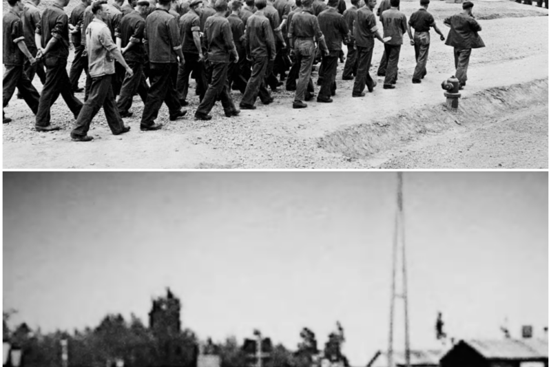 “You Can Go for a Walk If You Want” — German POWs Couldn’t Believe Canada’s Camps Had No Fences