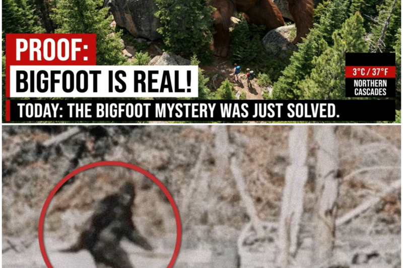 New Evidence Finally Proves Bigfoot Is Real – And It’s More Terrifying Than Anyone Thought
