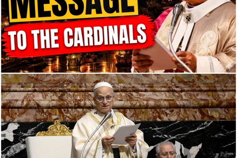 Pope Leo XIV: A Moment of Silence in the Vatican