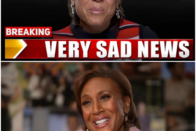 The Indomitable Spirit of Robin Roberts: A Journey of Resilience