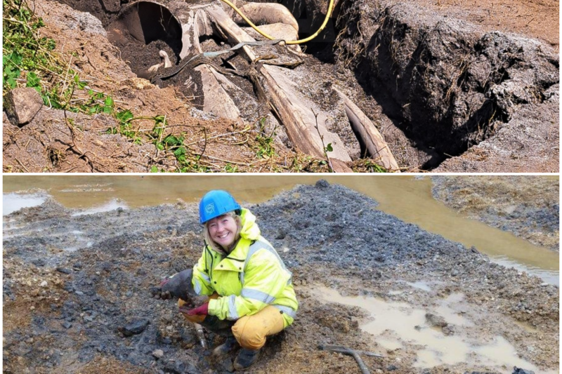 A Remarkable Discovery Beneath the Earth: The Mammoth Graveyard of Ziegler Reservoir