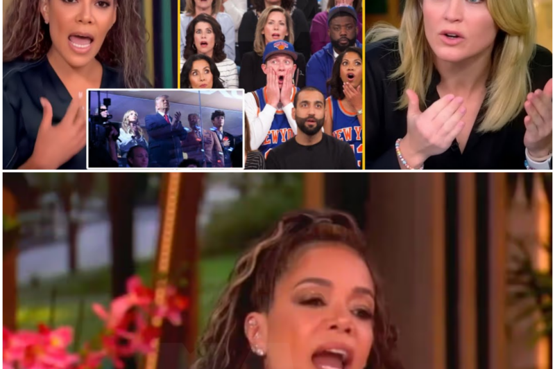 Sunny Hostin’s Controversial Moment on ‘The View’: A Deep Dive