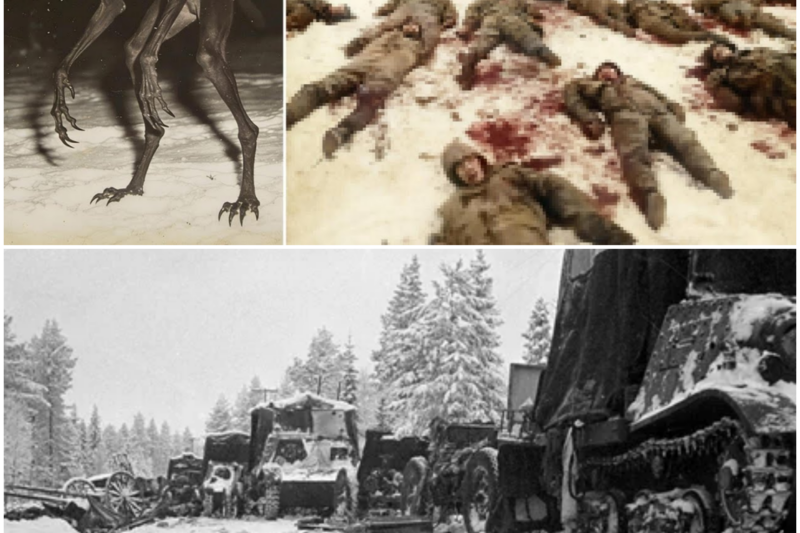 The Soviet Division That Was Massacred by Something Unknown in Finland During 1939
