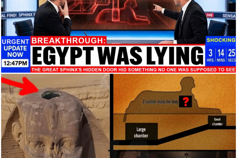 The Secrets of the Sphinx: Unveiling the Hidden Door
