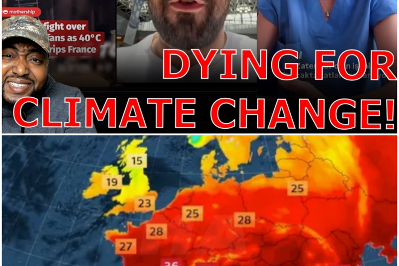The Heat Wave Crisis: A Cautionary Tale from Europe