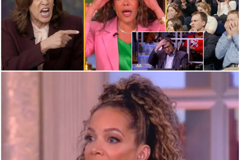 The Heated Argument on “The View”: A Deep Dive into Kamala Harris and Sunny Hostin’s Clash