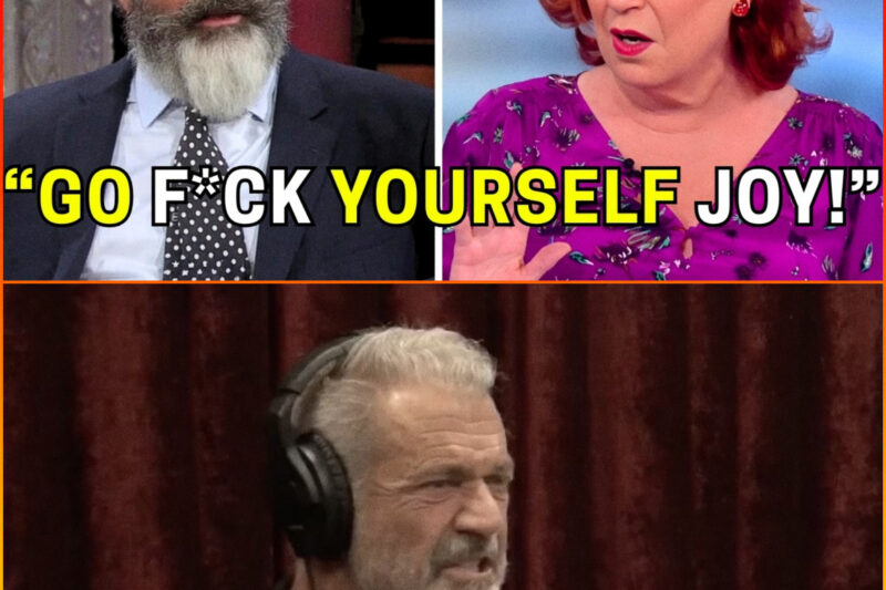 Mel Gibson HUMILIATES Joy Behar LIVE on The V!ew—The Studio Fell Completely Silent