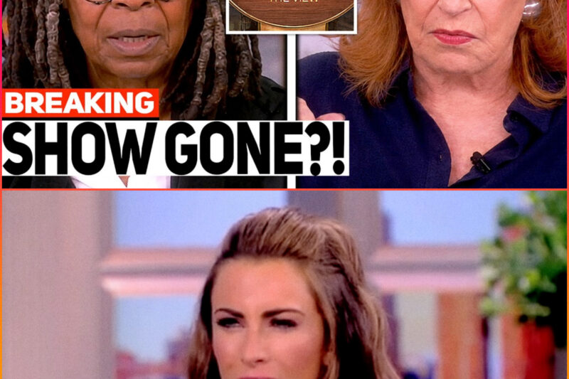 The V!ew SUDDENLY GOES DARK — Furious Fans DEMAND Answers From A-B-C!