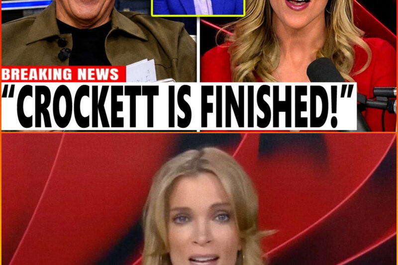 Greg Gutfeld & Megyn Kelly DESTROYED Jasmine Crockett On LIVE TV!